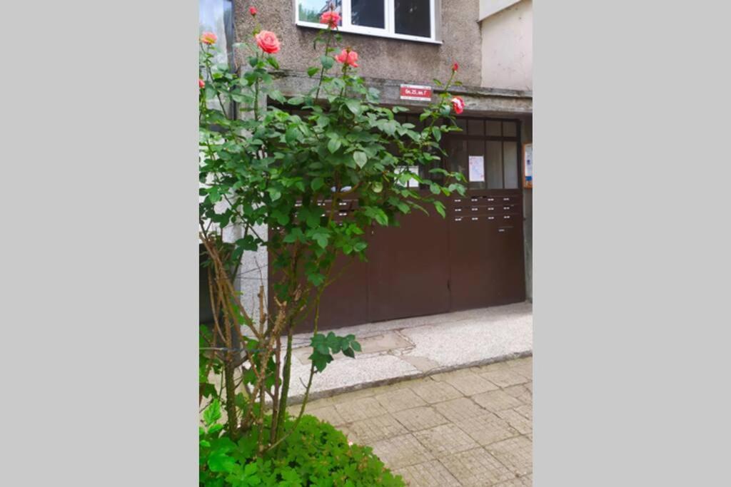 Lovely City Center 1Bd, 1Bt Apartment Sofia Exterior photo